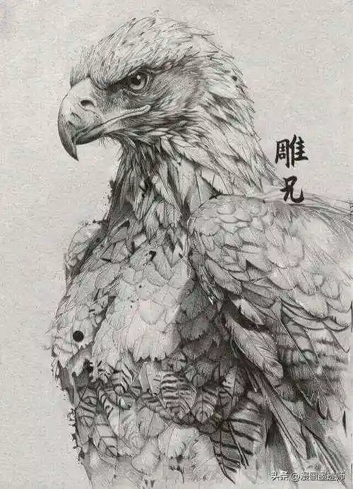 神雕侠侣人物素描引爆网络!网友惊呼:每一笔都活灵活现!