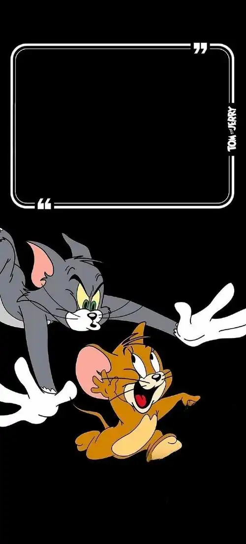 猫和老鼠##壁知