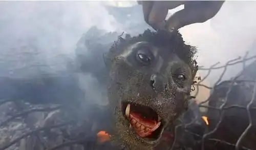 这道菜叫"从头开始",目测是长颈鹿头,哀怨的眼神这真的是给人吃的?