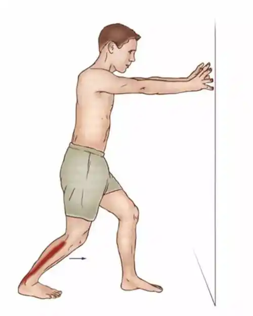 跑前拉伸可以减少肌肉粘度,减少运动时的内部的能量消耗.