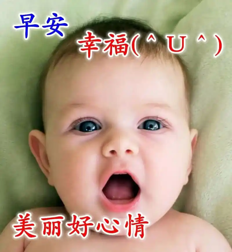 最新早晨正能量暖心句子 早上好最美的问候文字图片