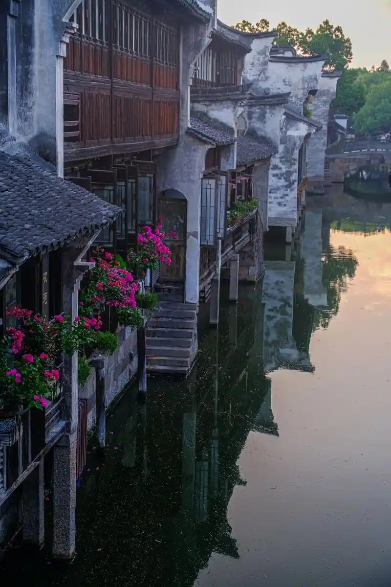 乌镇最美在南栅 乌镇西栅无疑是最火的景点,但对于去过西塘的我来讲