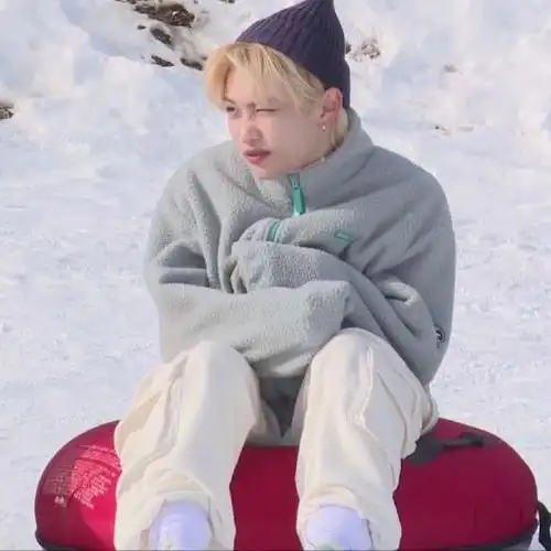 李龙馥  #straykids  #straykids李龙馥felix  #冬日雪景  #可爱头像