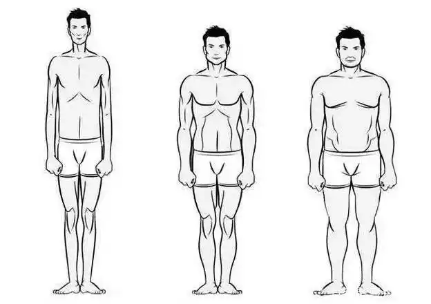那么这类型的瘦人朋友,应该怎么科学增肥长胖呢?