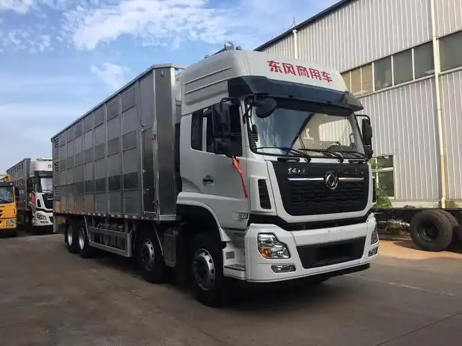 国六东风天锦6.8米生猪运输车运猪车可分期