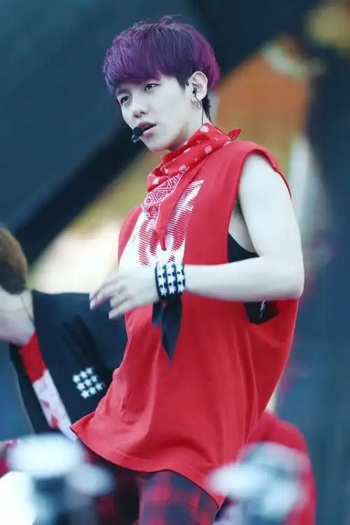 exo里的边伯贤染过葡萄色的头发吗