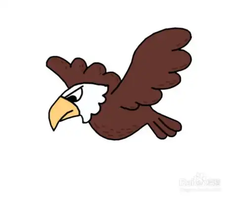 老鹰简笔画简单如何画鹰头简笔画素描翱翔的老鹰简笔画儿童老鹰简笔画