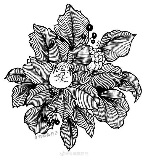 线描入门教程(太强了!