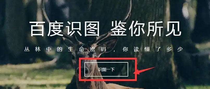具体如下:2022-09-24闪闪亮晶晶浏览器扫一扫图片识别的话,在浏览器最