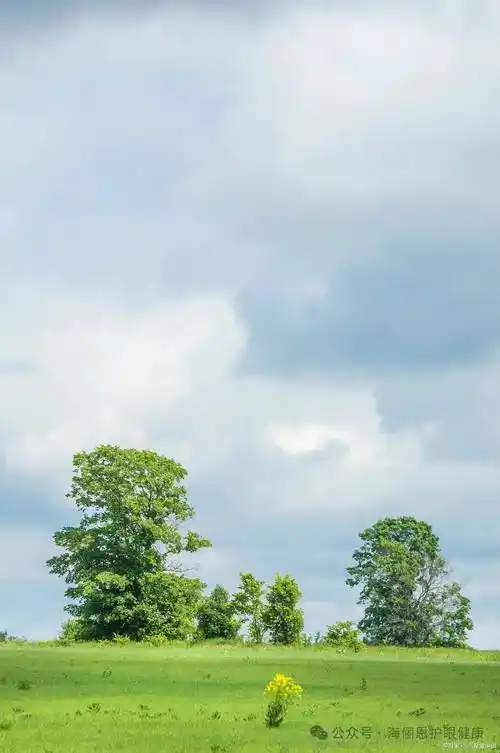 「海俪恩护眼科技」分享壁纸| 干净护眼的绿色系手机壁纸_高清_眼睛