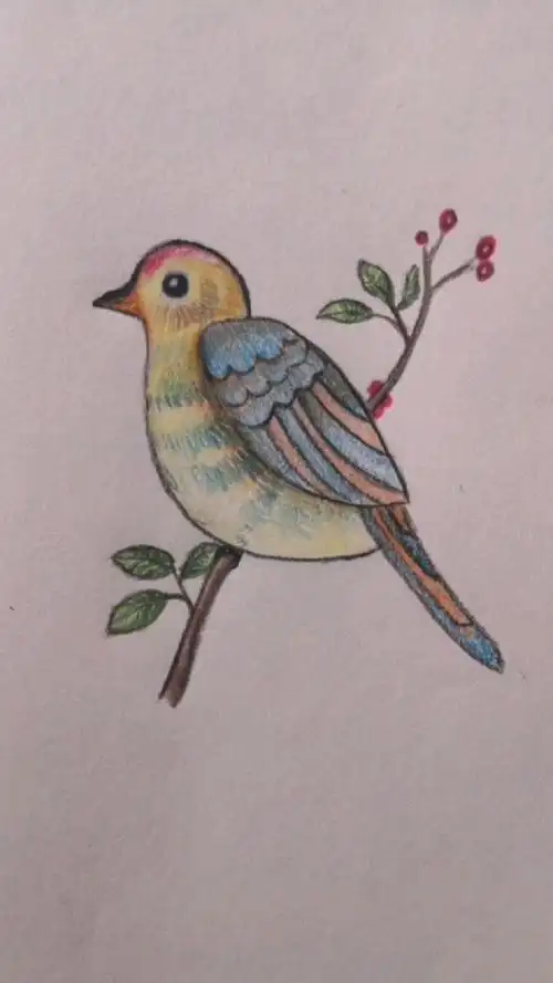 简笔画:教大家画小鸟