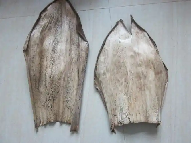 工艺品食品用竹笋壳,欢迎咨询详谈,可订货次年生产10吨左右