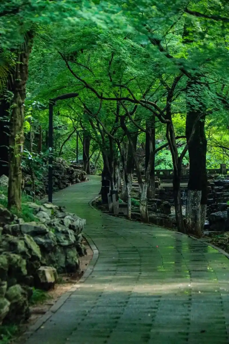 常熟虞山公园夏天雨后的美,清新明目.一下雨,我就想往外跑,我 - 抖音