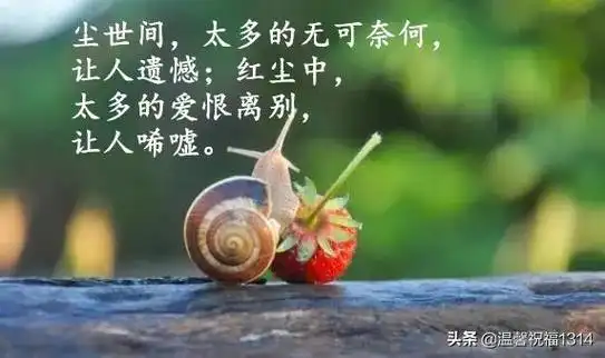 很开心的句子说说心情拿去发朋友圈吧孩子很开心的句子说说心情