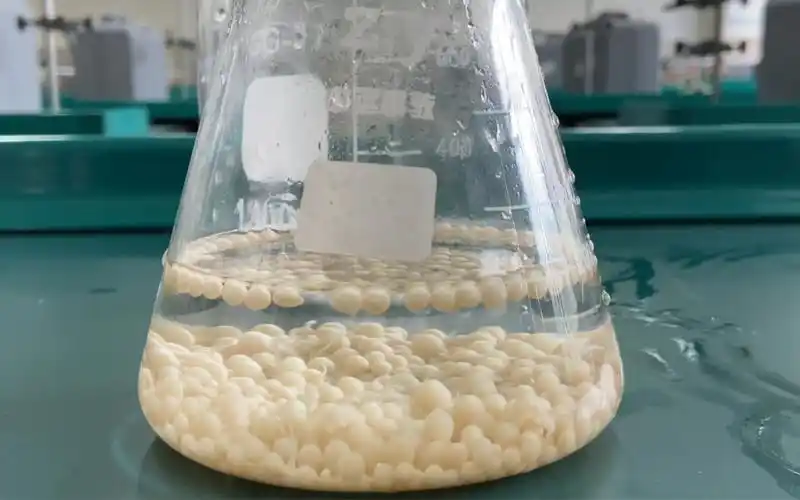 酵母细胞的固定化