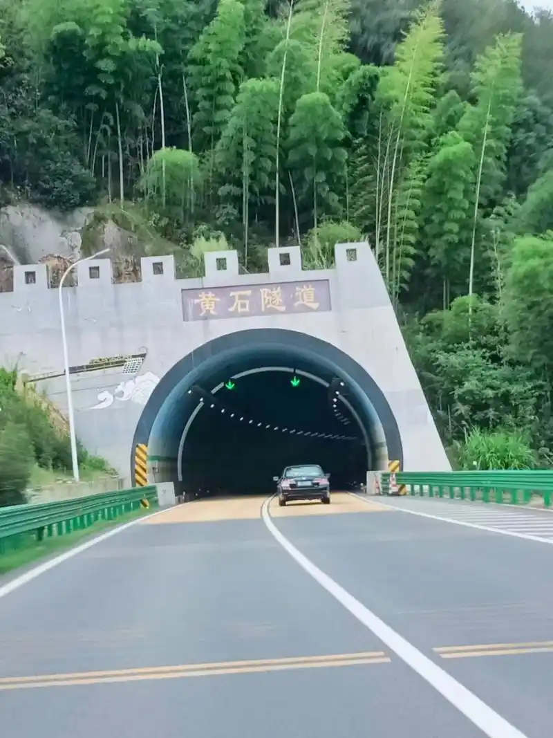 最美的隧道分享#沿途的风景令人赏心悦目# - 抖音