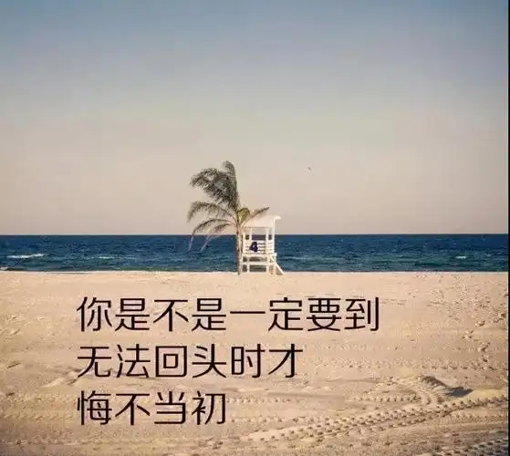 精辟人生感悟经典短句,感悟人生的经典短句子大全