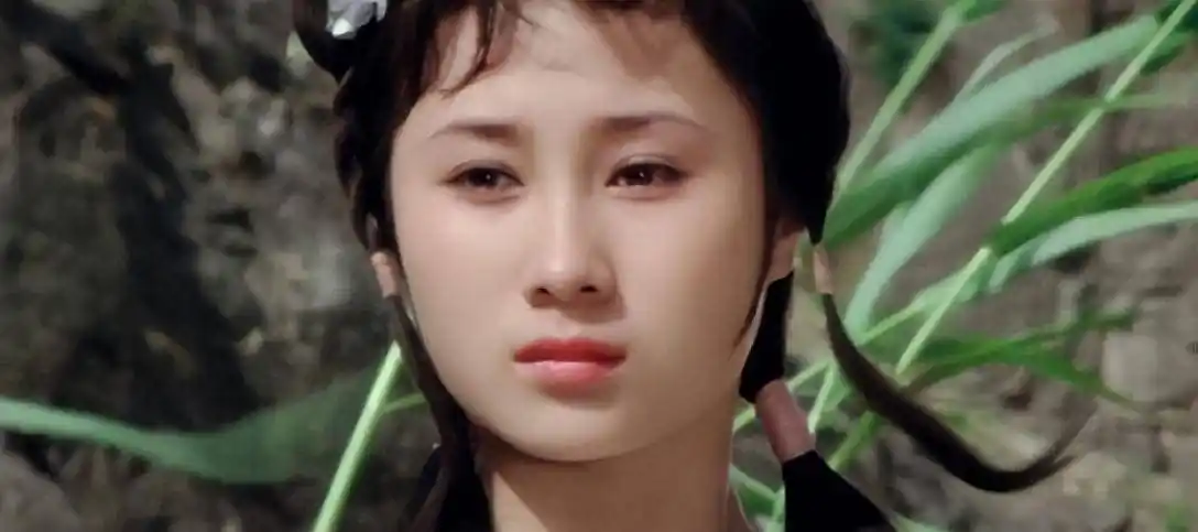 "牧羊女"丁岚的悲哀:自毁前程放弃中国籍,离婚30多年后悔了吗_李连杰