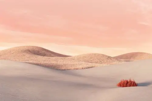 surface laptop go - sandstone