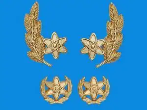 领徽是一个麦穗和六角星是什么兵种?