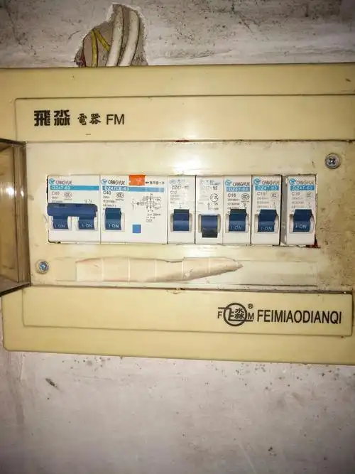 突然跳闸,然后那个开关就推不上去,只有把其中一个弄下来后才能把开关