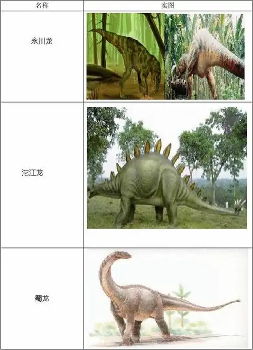 恐龙名称及图片