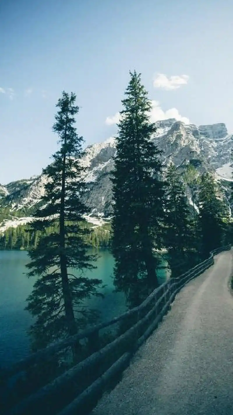 小清新护眼自然风景手机壁纸图片