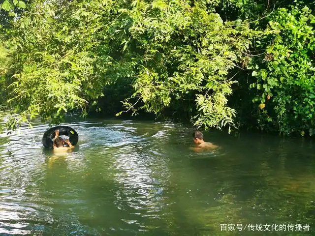 小河里游泳的小孩