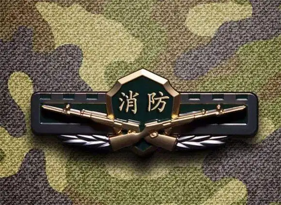 向即将脱下军装的武警战友们致敬这些胸标请收藏好