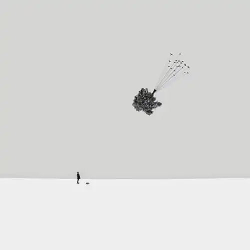 hosseinzare极简主义摄影