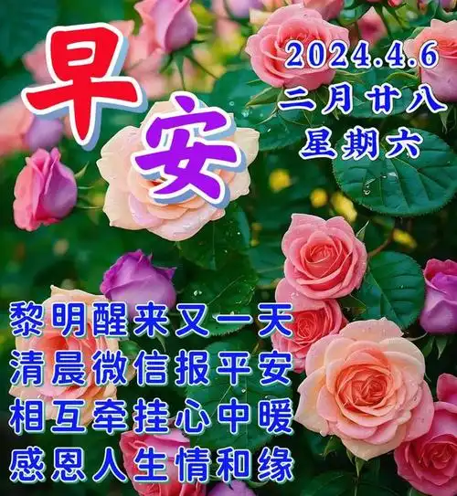 4月6日早安漂亮图片问候祝福语|快乐|清晨|幸福|好心情|早上好_网易