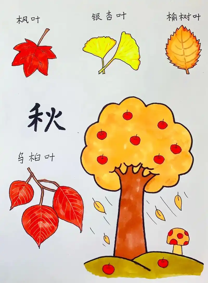 图文种草机 #秋天主题画 #秋天的画儿童画 #儿童画 #简笔画 秋天主题