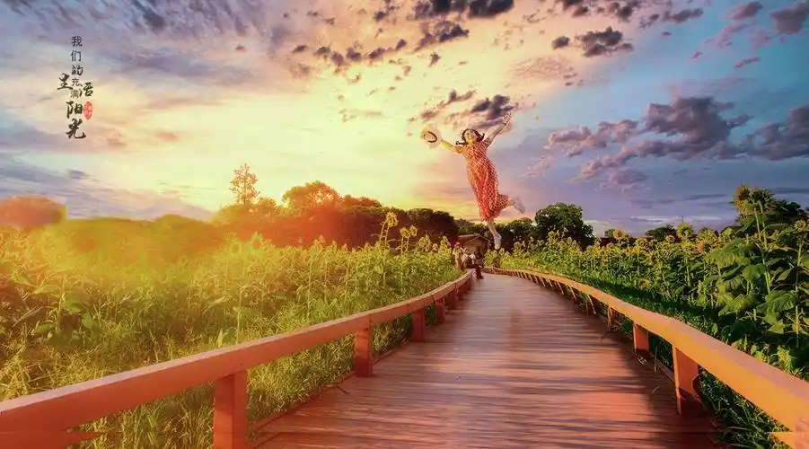 我们的生活充满阳光