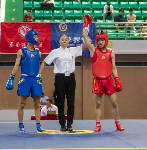 贺第8届中国大学生武术散打锦标赛在迁安市唐山九江体育中心落幕