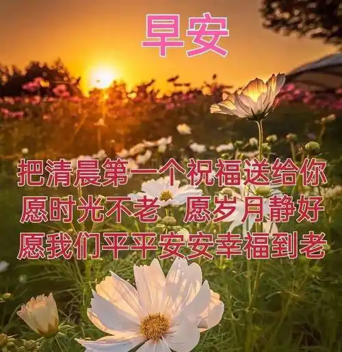 8张非常创意好看的朋友早上好问候图片带字精选夏天早安问候祝福图片