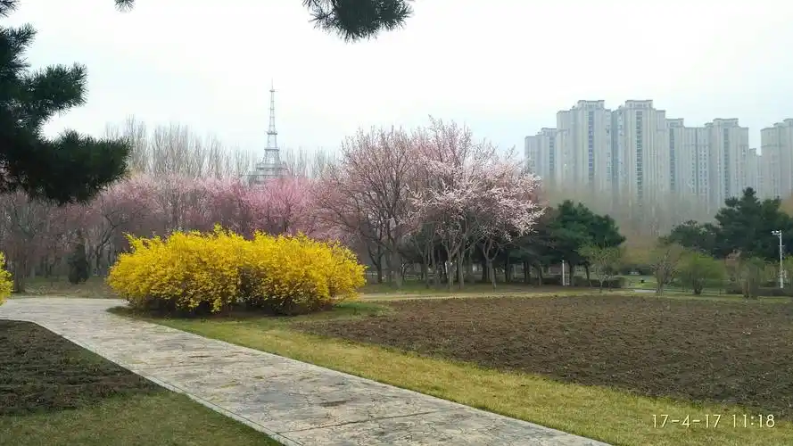 吉林省长春市绿园区春城街道正阳街27号天气预报