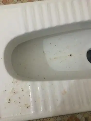 胃疼,胃酸,胃涨,恶心呕吐.吐出来的像泡沫一样的东西;这是什么