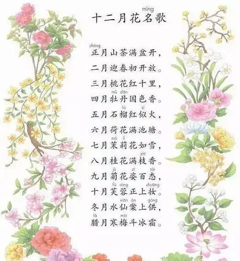 十二月花名的手抄报手抄报模板大全