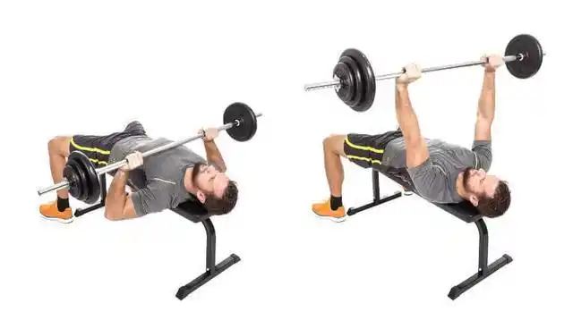 推举是一种以耐力形式的训练,初学者刚开始时应与教练一起学习|杠铃