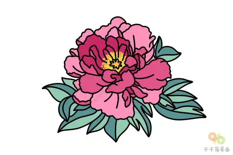 如何画牡丹简笔画_牡丹花简笔画