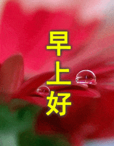 60余个精美早上好表情包