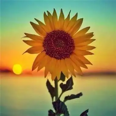 2023年女人招财头像