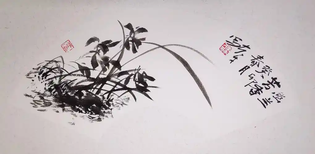 画家李夫才精品大写意扇面一组_荷花_牡丹_白水