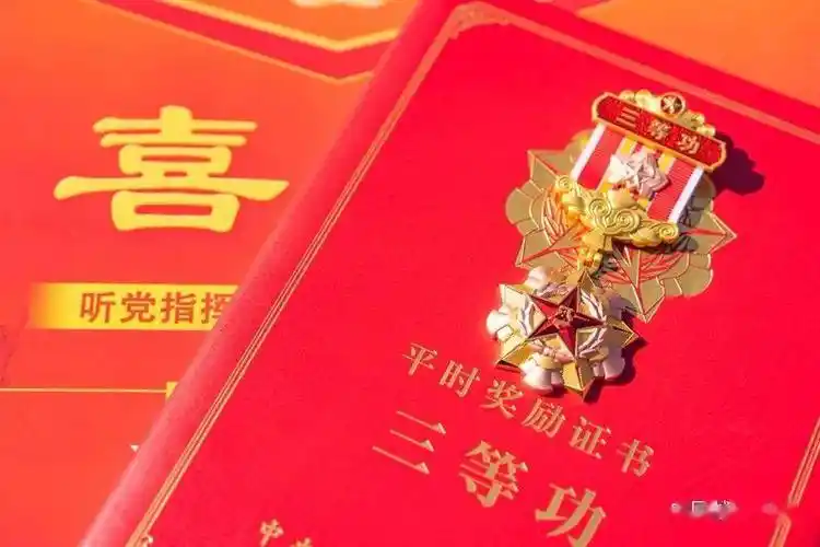 网友:"又是想集齐的一天……"_奖章_纪念章_戍边