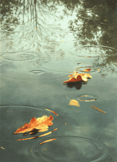 动图- 堆糖,美图壁纸兴趣社区