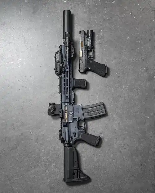 粉丝求图sai武器公司改装枪及成品枪图集