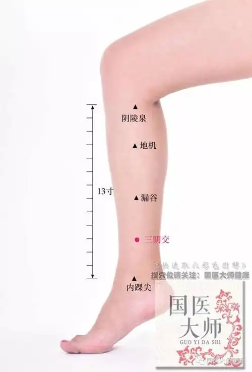 位于小腿内侧,胫骨内侧下缘与胫骨内侧缘之间的凹陷中.