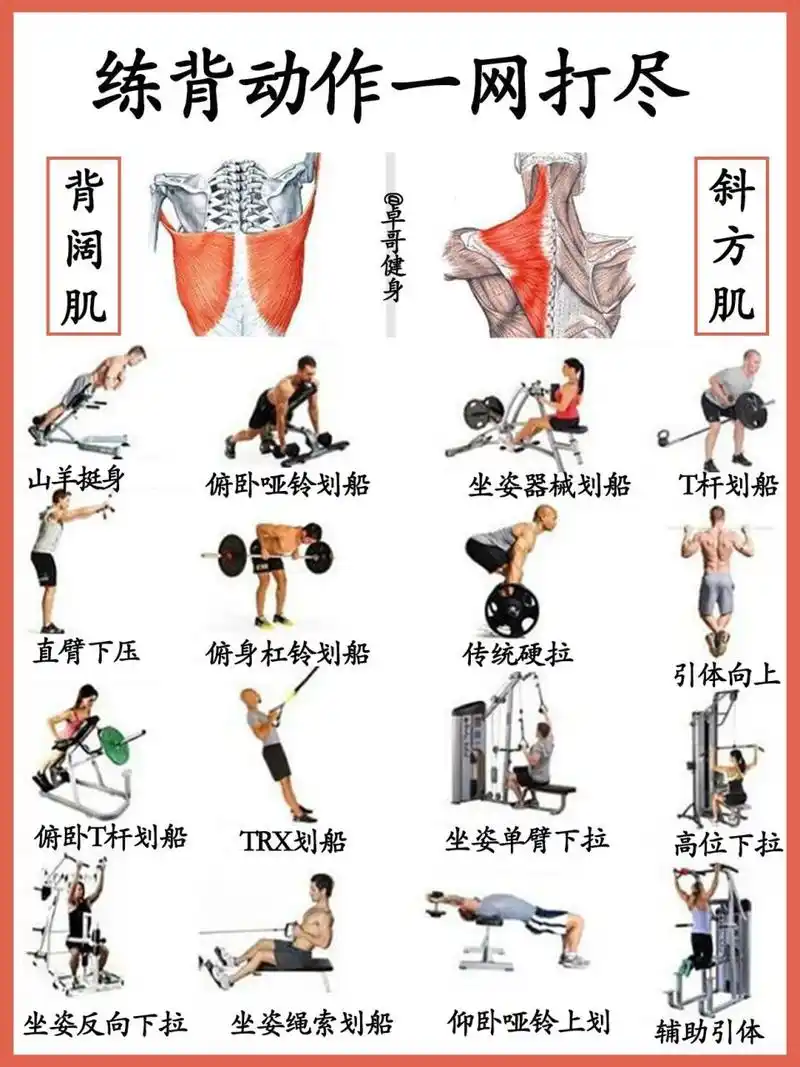 会员:"原来每个人都有背部肌肉呀07" 会员:"原来背部肌肉也能动啊