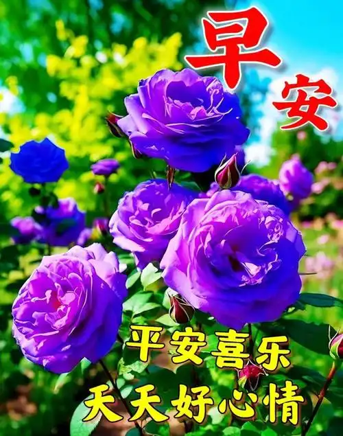 早上好新版祝福图片