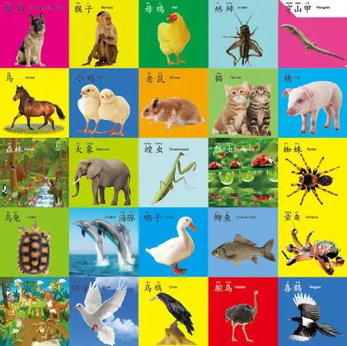 2017幼儿启蒙看图识物早教卡 宝宝认识动物水果卡片 婴儿图册图片